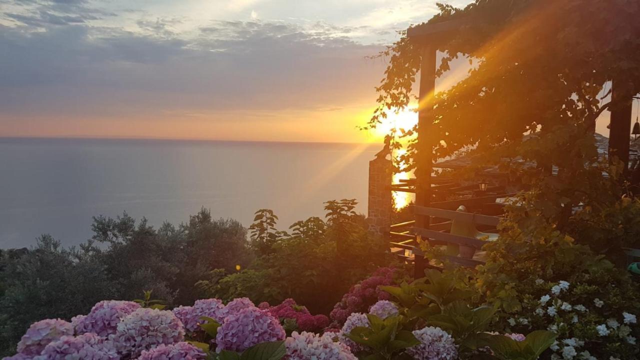 זגורה Sunriseview Suite And Gallery מראה חיצוני תמונה